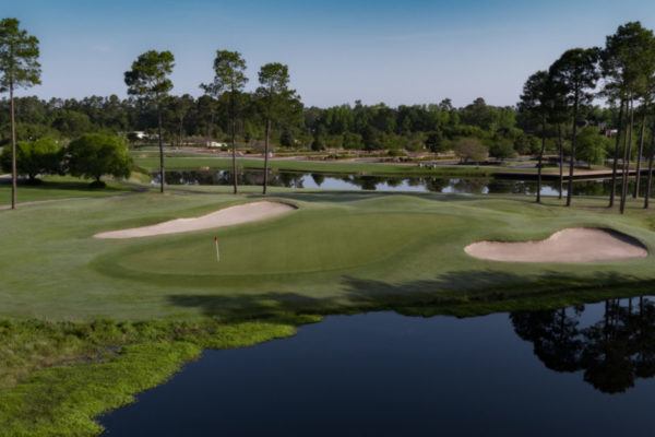 Wild Wing Plantation hole 9